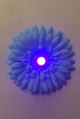 LED Light-up Daisy Pasties - Blue