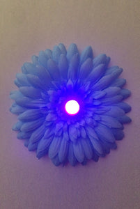 LED Light-up Daisy Pasties - Blue